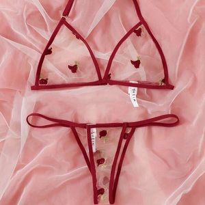Embroidered Mesh Triangle Lingerie Set